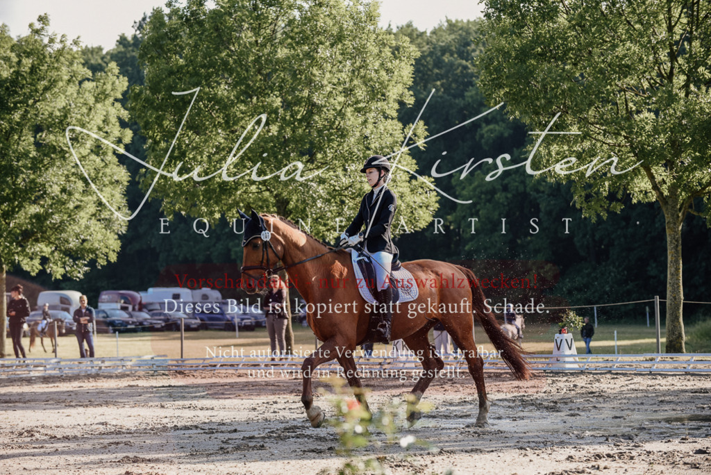 DSC_7747 | Pferde- und Turnierfotografie in Westsachsen. Pferdeportraits, Auftragszeichnungen und intuitive Kunst.