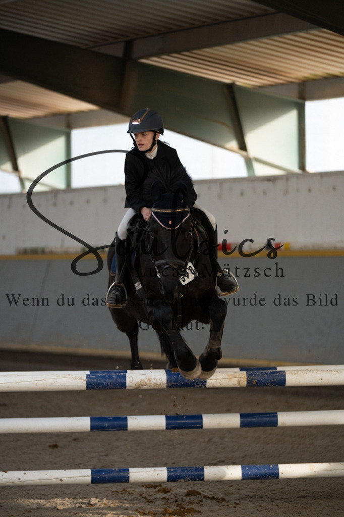 A7V07517 | Pferdefotograf