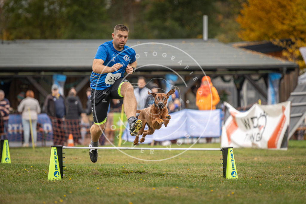 Pfotenfotografie_DV3A4904 | Hundefotografie, Tierfotograf, Pfotenfotografie, Fotoshooting Hund, Hunde Portrait, Hundesport, Hundeportraits, Heideshooting, Hunde, Sportfotograf, Hundefotograf, Turnierhundsport, THS,  - Realisiert mit Pictrs.com