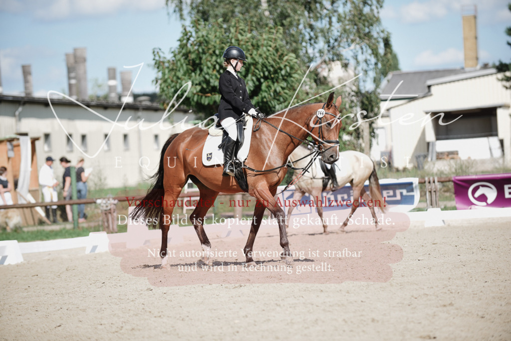 DSC_9933 | Pferde- und Turnierfotografie in Westsachsen. Pferdeportraits, Auftragszeichnungen und intuitive Kunst.
