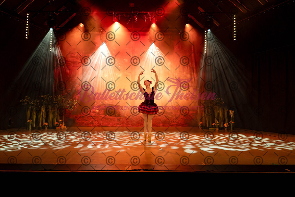 Ballettaufführung-503 | Bildershop Lem'n Entertainment - Realisiert mit Pictrs.com