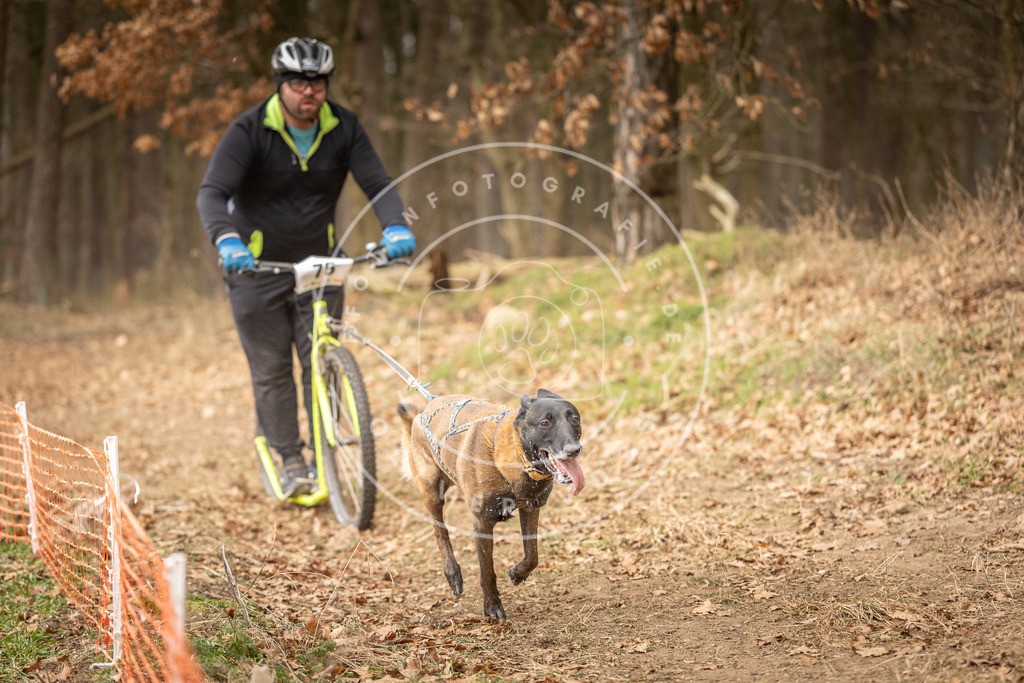 Pfotenfotografie_DV3A4237 | Hundefotografie, Tierfotograf, Pfotenfotografie, Fotoshooting Hund, Hunde Portrait, Hundesport, Hundeportraits, Heideshooting, Hunde, Sportfotograf, Hundefotograf, Turnierhundsport, THS,  - Realisiert mit Pictrs.com
