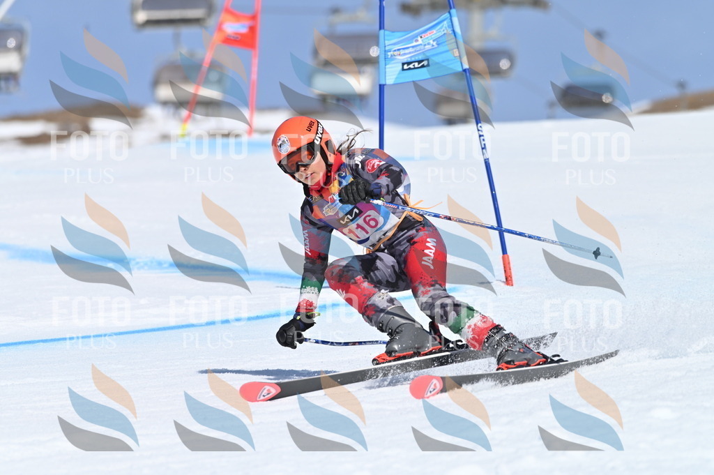 BGV_9741 | holidayphoto