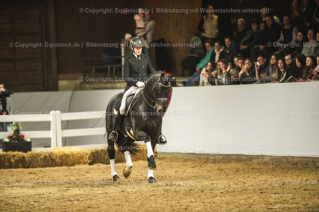 20240302_Hengstvorstellung_Marbach_TOMsPiC_1501 | equistock