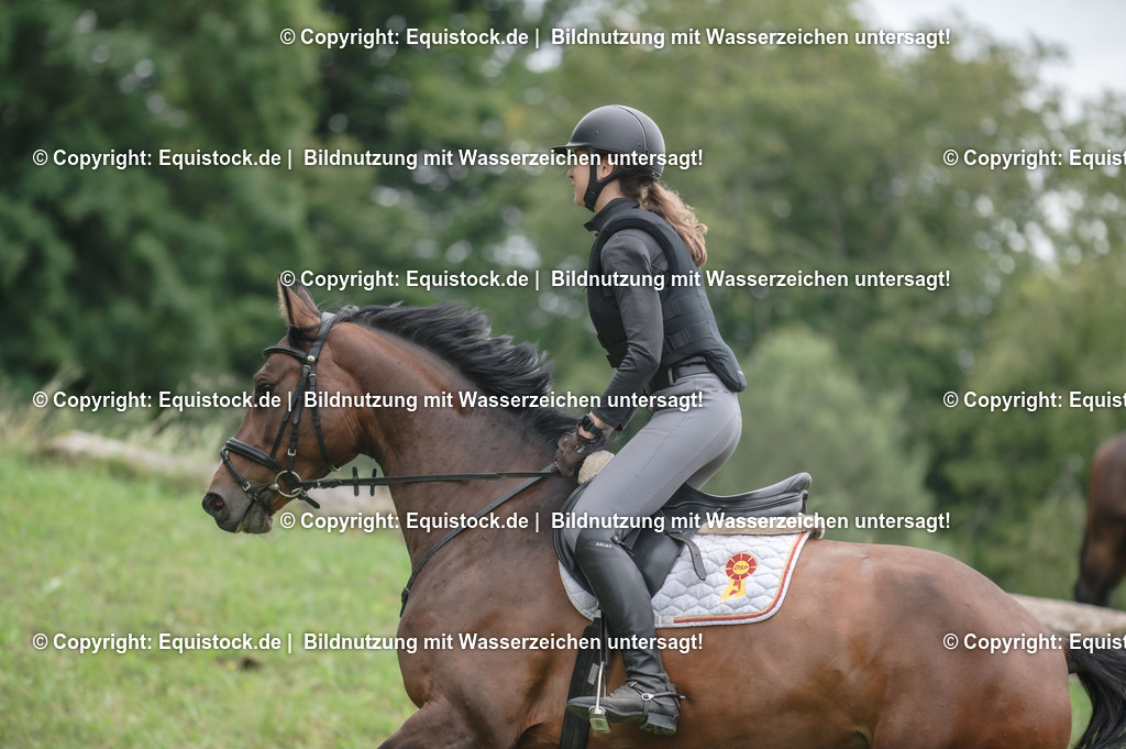 20250726_Vielseitigkeitslehrgang-Marbach_0780 | Foto: Thomas Hartig