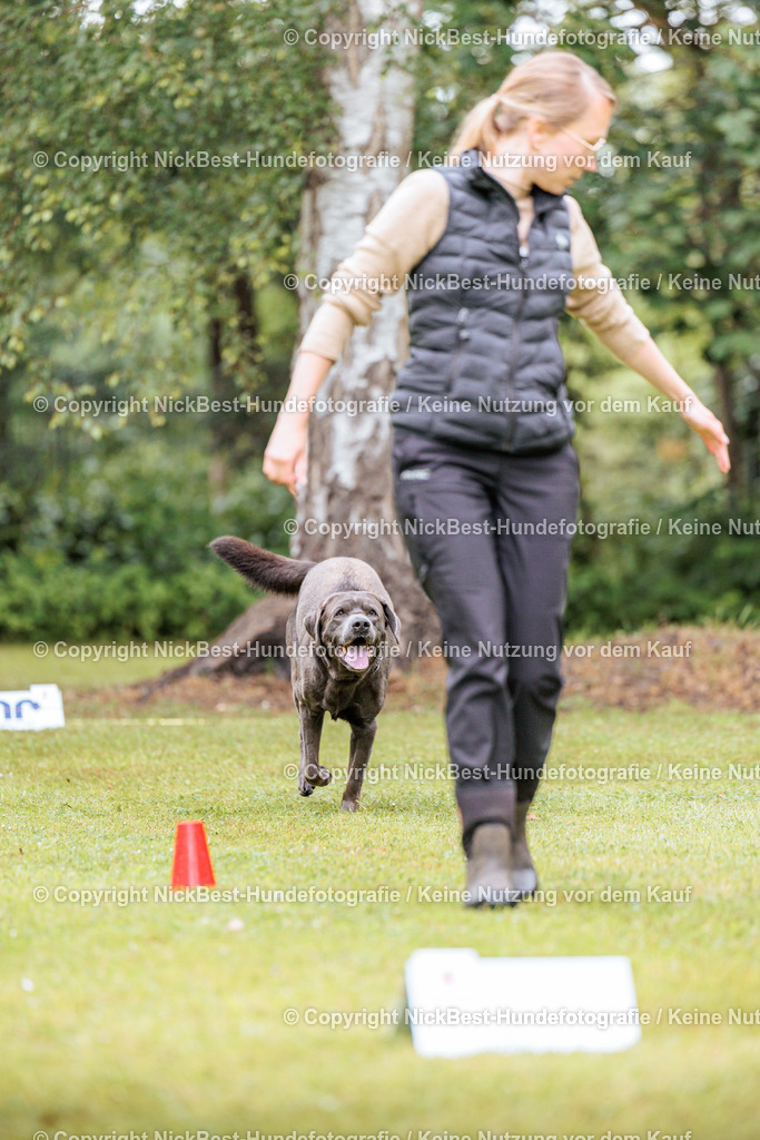 RO-Blumenthal-2026-Nickbest-Hundefotografie-1009 | Dein Hund! Dein Moment! Deine Erinnerungen! Hundefotografie in Bremen Blumenthal. Ich fange die besonderen Momente deines Vierbeiners ein – ob Indoor mit Blitzanlage oder in der freien Natur. Sicher dir dein Moment und dein Termin für eure Erinnerungen.