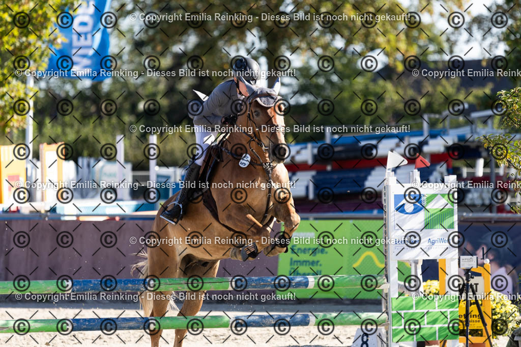 CL5A1273 | Emilia Reinking Fotografie - Realisiert mit Pictrs.com