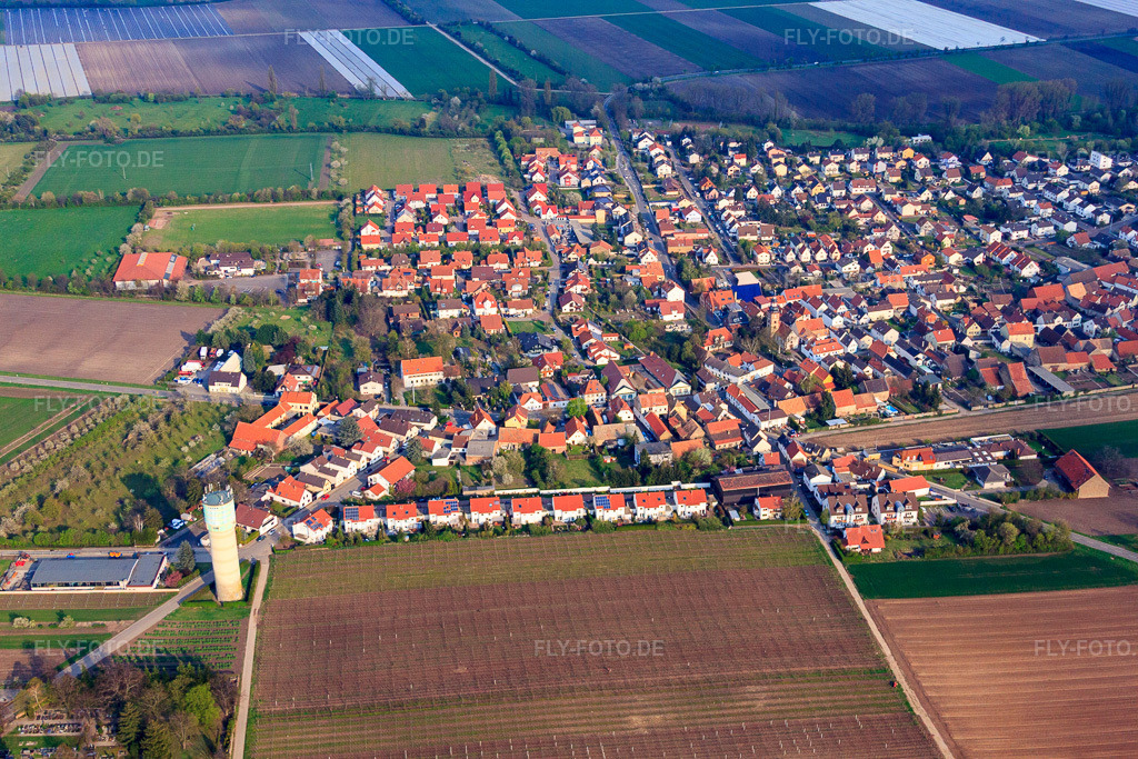 Luftbild: Dorfansicht mit Wasserturm von Westen in Großniedesheim im Bundesland Rheinland-Pfalz in Deutschland. Foto: IMG_49851.jpg vom 13.04.2012 durch Werner Riehm/FLY-FOTO.deAuflösung des Originals: 4752 x 3168 px