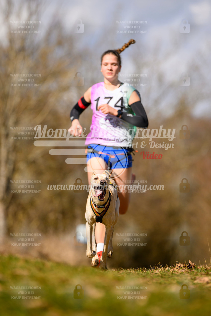 MompixPhotography_10Schwabentrail2026_SO_Canicross-77 | PayLife