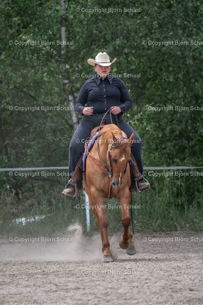 HEB04578 | BS-foto