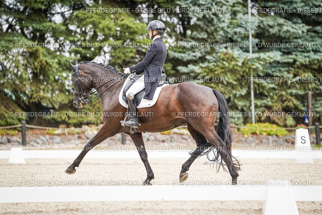 DSC07054 | Pferdegrafie