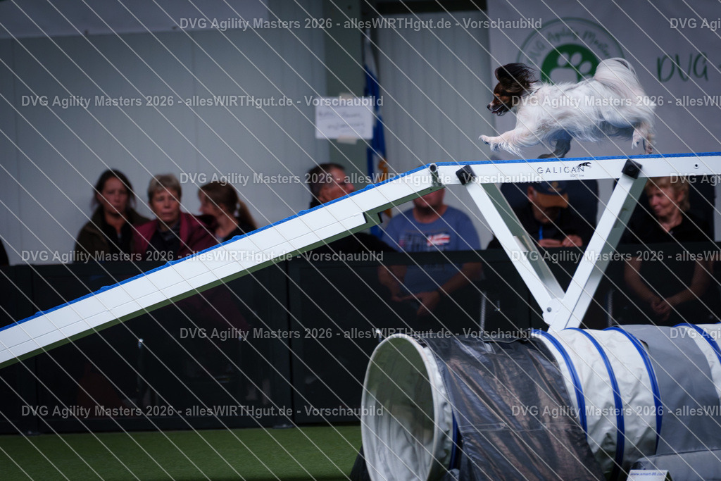 allesWIRTHgut_Tierfotografie-DVG_Agility_Masters_2026-13_29-7R503333 | Professionelle Tierfotografie in Mönchengladbach von Daniel Wirth (allesWIRTHgut). Liebevolle & natürliche Bilder von Hunden & Katzen für unvergessliche Erinnerungen.