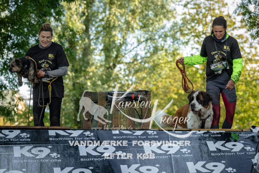 1600_ZZ91734 | kk-dogfotos