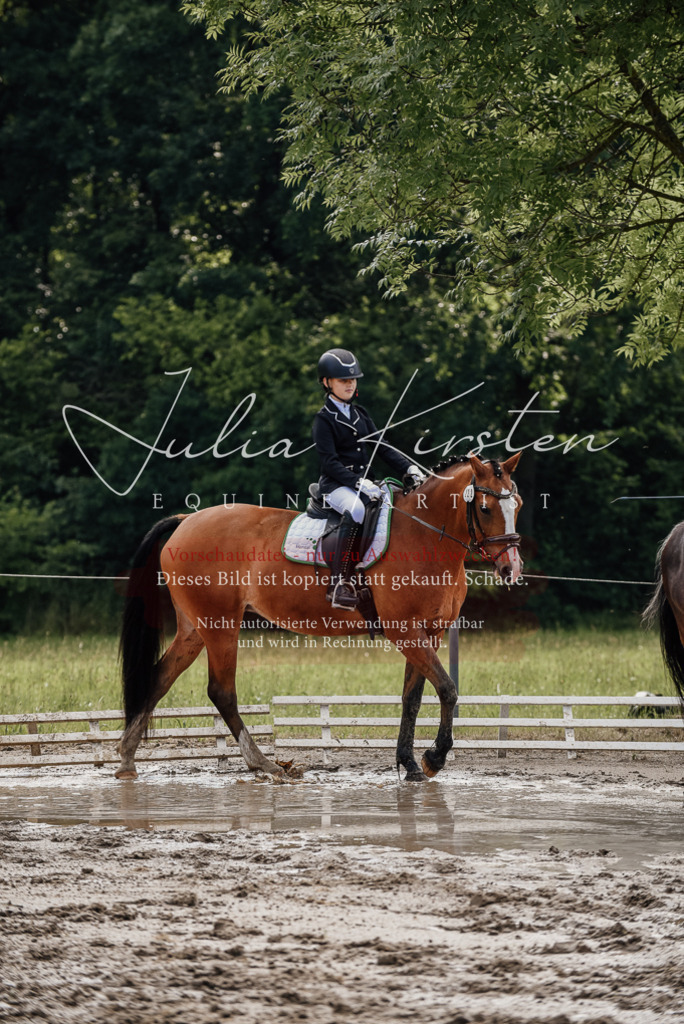 DSC_9094 | Pferde- und Turnierfotografie in Westsachsen. Pferdeportraits, Auftragszeichnungen und intuitive Kunst.