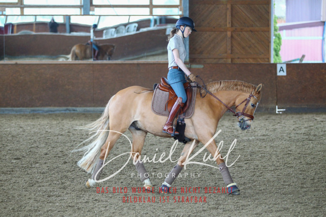 DKP42902 | Turniersportfotografie; Pferdefotografie; Dressurfotografie