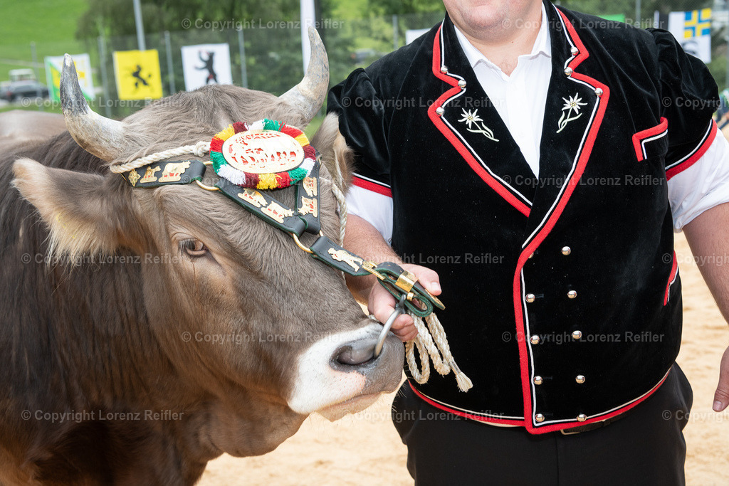 Schwingen -  Appenzeller Kantonal Schwingfest 2024 | Hundwil, 7.7.24, Schwingen - Appenzeller Kantonal Schwingfest.