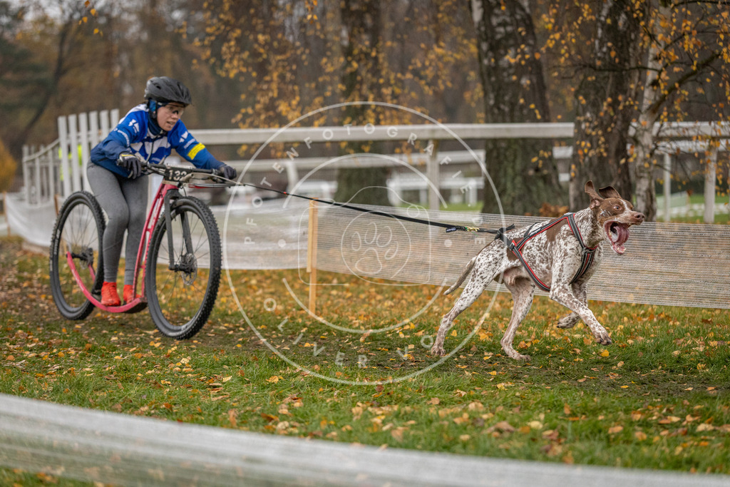 CaniXpix_DV3A7552 | Hundefotografie, Tierfotograf, Pfotenfotografie, Fotoshooting Hund, Hunde Portrait, Hundesport, Hundeportraits, Heideshooting, Hunde, Sportfotograf, Hundefotograf, Turnierhundsport, THS,  - Realisiert mit Pictrs.com
