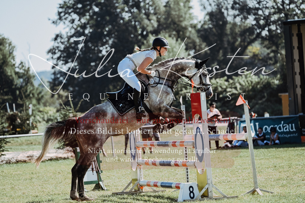 DSC_5526 | Pferde- und Turnierfotografie in Westsachsen. Pferdeportraits, Auftragszeichnungen und intuitive Kunst.