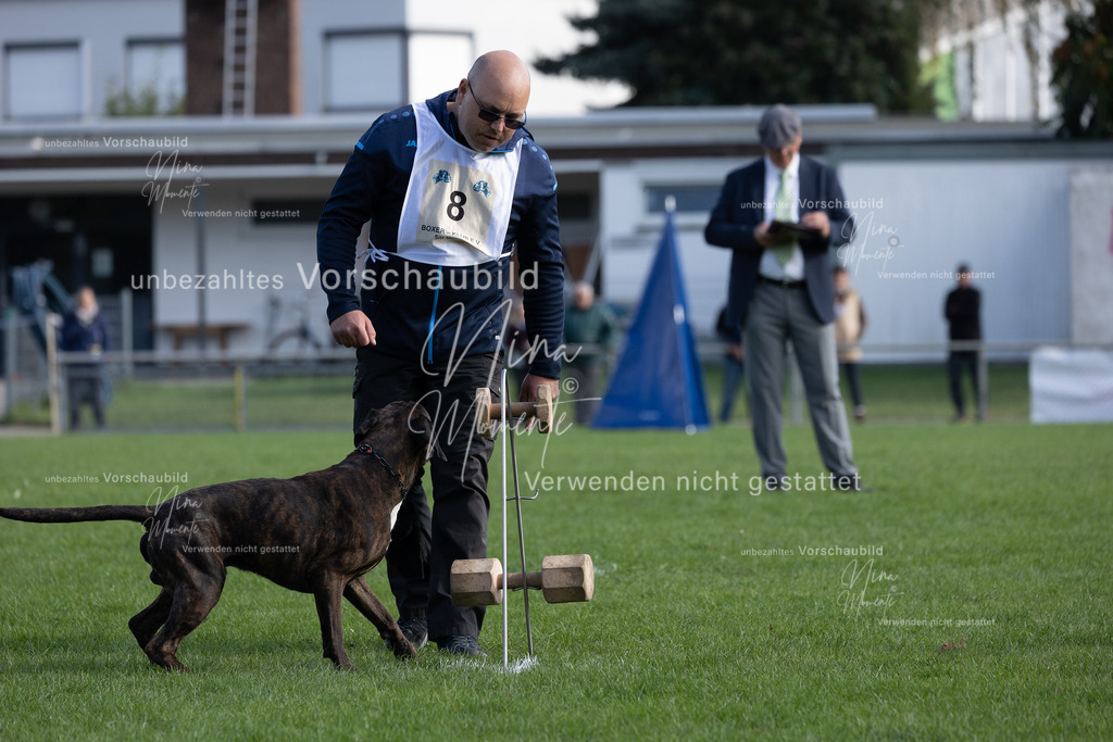_16A6806 | Einzigartige Fotos von Hunden & Menschen –Actionfotos, Portraits, Vereinsaufnahmen & Paarshootings – authentisch, lebendig & mit Herz.