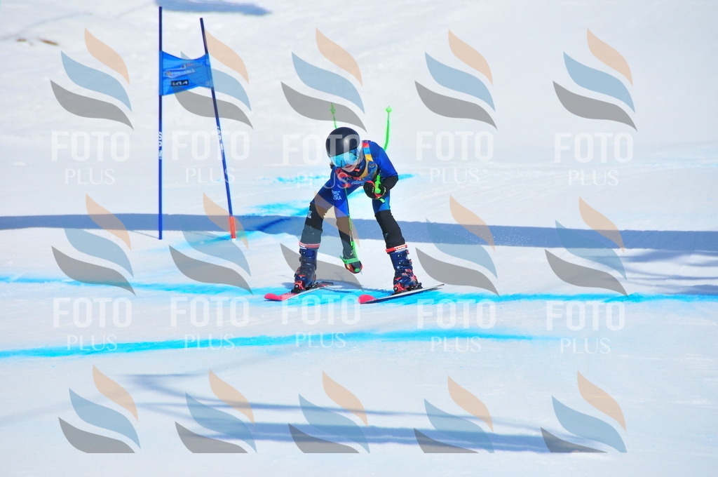 DSC_4905 | holidayphoto