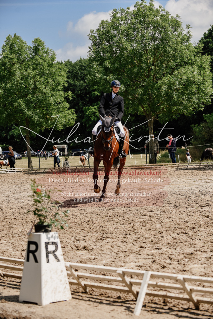 DSC_1142 | Pferde- und Turnierfotografie in Westsachsen. Pferdeportraits, Auftragszeichnungen und intuitive Kunst.