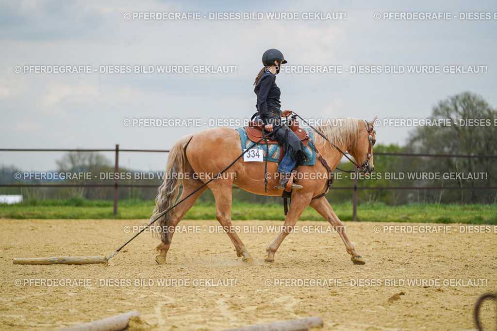 DSC07193 | Pferdegrafie