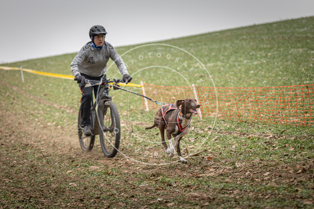Pfotenfotografie_DV3A2491 | Hundefotografie, Tierfotograf, Pfotenfotografie, Fotoshooting Hund, Hunde Portrait, Hundesport, Hundeportraits, Heideshooting, Hunde, Sportfotograf, Hundefotograf, Turnierhundsport, THS,  - Realisiert mit Pictrs.com