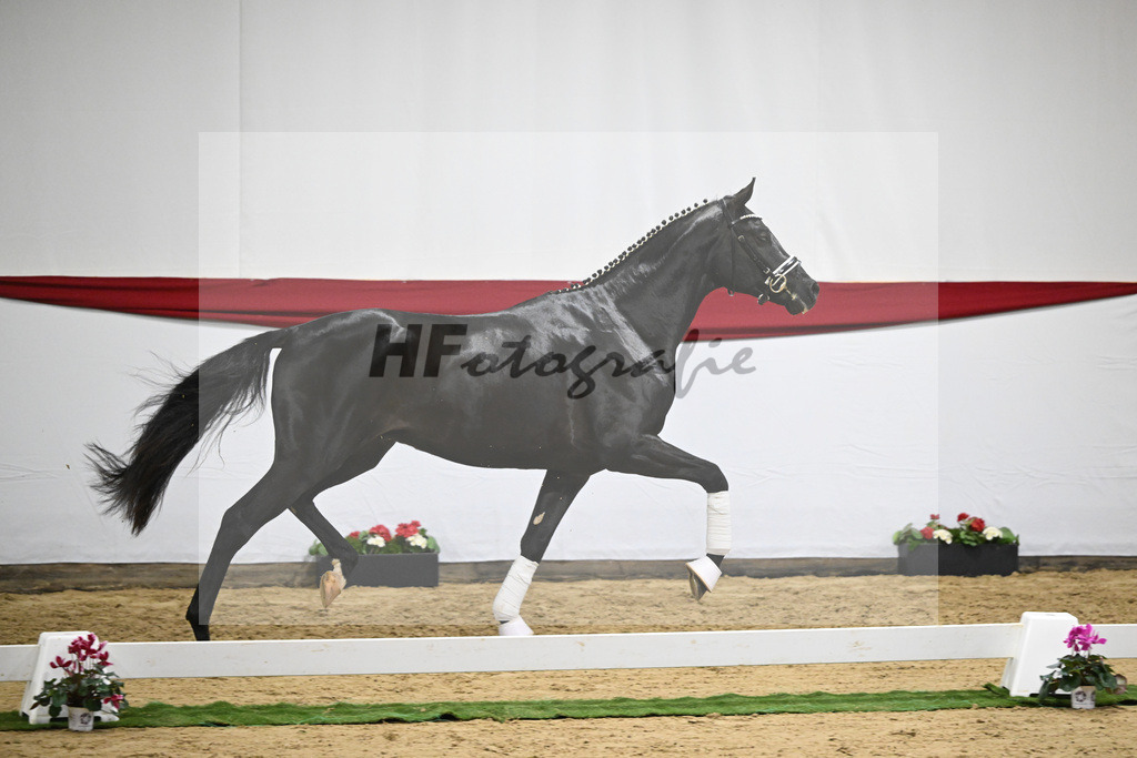 Kat-Nr. 65 v. Ferrantino_Greim_63221658 | hf-fotografie - Realizzato con Pictrs.com