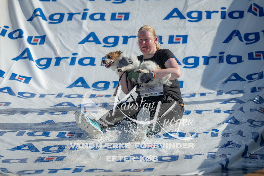 0934_ZZ96240 | kk-dogfotos