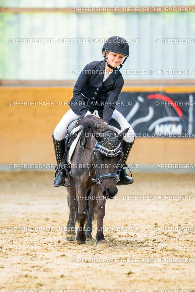 DSC06767 | Pferdegrafie