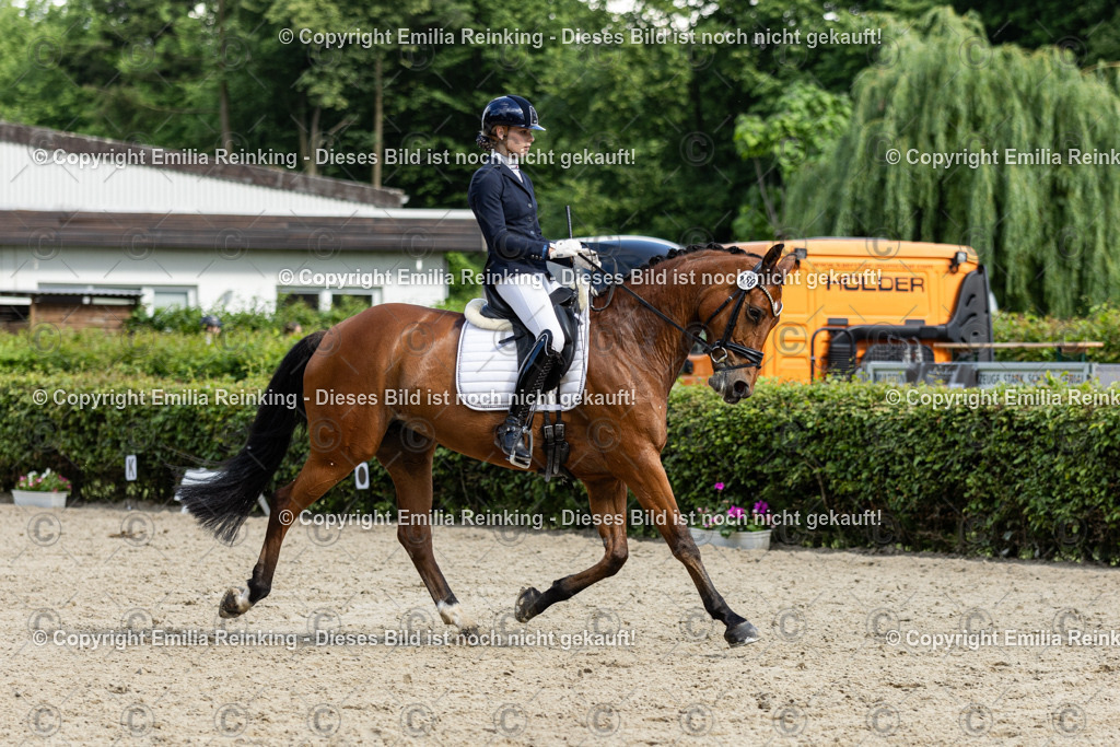 CL5A6230-2 | Emilia Reinking Fotografie - Realisiert mit Pictrs.com