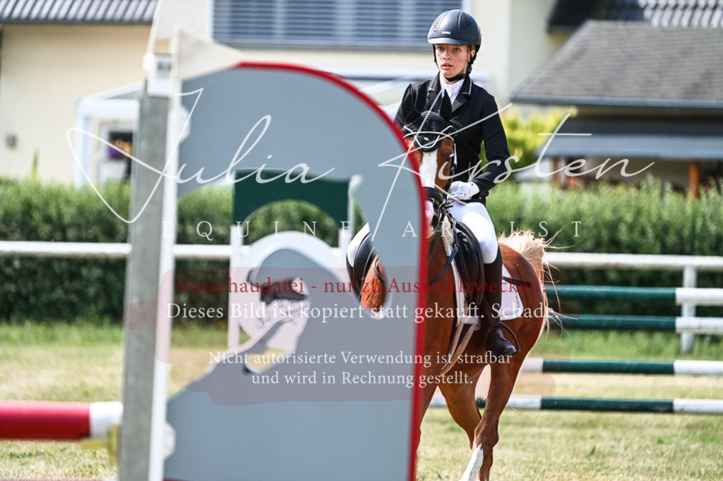 DSC_8717 | Pferde- und Turnierfotografie in Westsachsen. Pferdeportraits, Auftragszeichnungen und intuitive Kunst.