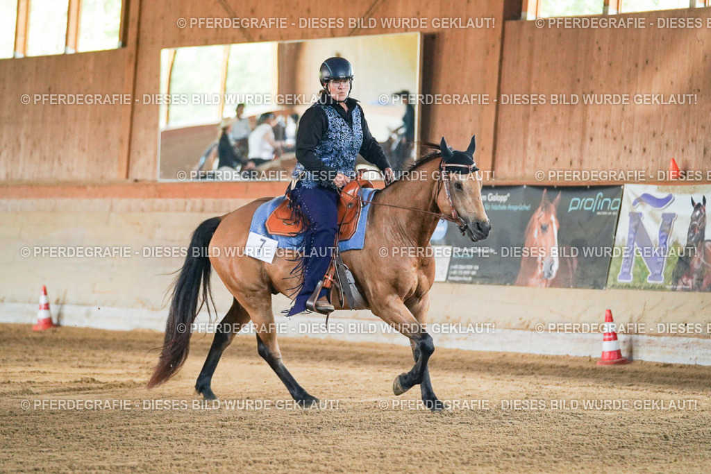 DSC05164 | Pferdegrafie