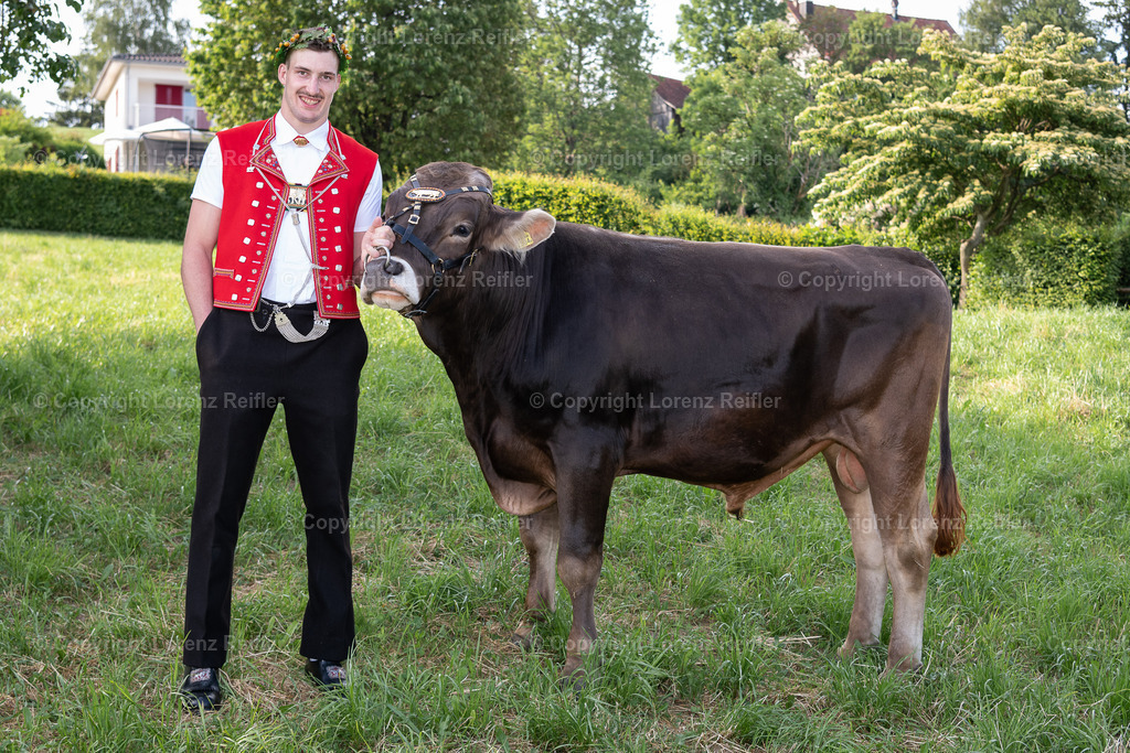 Schwingen -  St.Galler Kantonal 2023 | Wittenbach, 4.6.23, Schwingen - St.Galler Kantonal.
