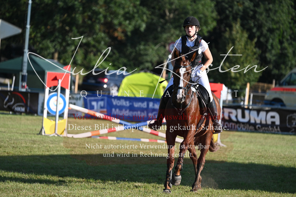 DSC_4700 | Pferde- und Turnierfotografie in Westsachsen. Pferdeportraits, Auftragszeichnungen und intuitive Kunst.