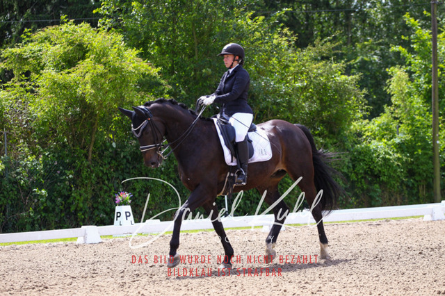 DKP41022 | Turnierfotos kaufen im Webshop von Daniel Kuhl Photography – entdecke professionelle Reitsportfotos aus Turnieren & Events. Hochwertige Turnierbilder online bestellen & sichern. Jetzt Fotos von Reitsportturnieren kaufen!