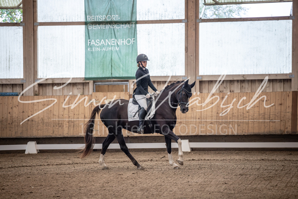 20251011-_3LI9276 | Tierfotografie Pferde, Hunde, Katzen, Haustiere.
Turnierfotografie Reitturniere, Reiten, Springreiten, Dressur in Hanau, dem Main-Kinzig-Kreis und dem Rhein-Main- Gebiet um Frankfurt
