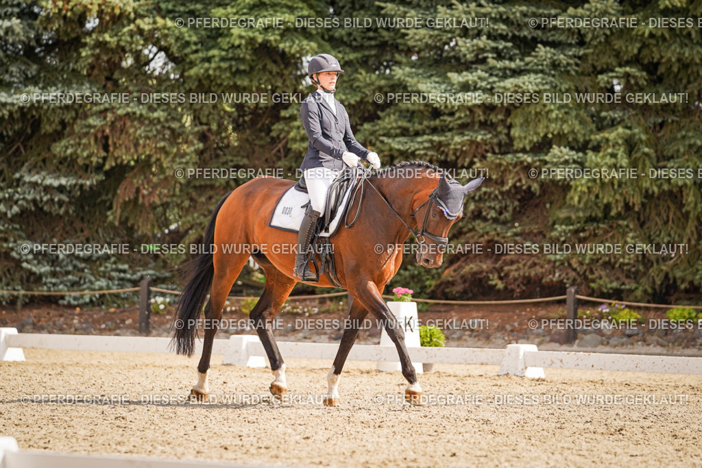 DSC01209 | Pferdegrafie