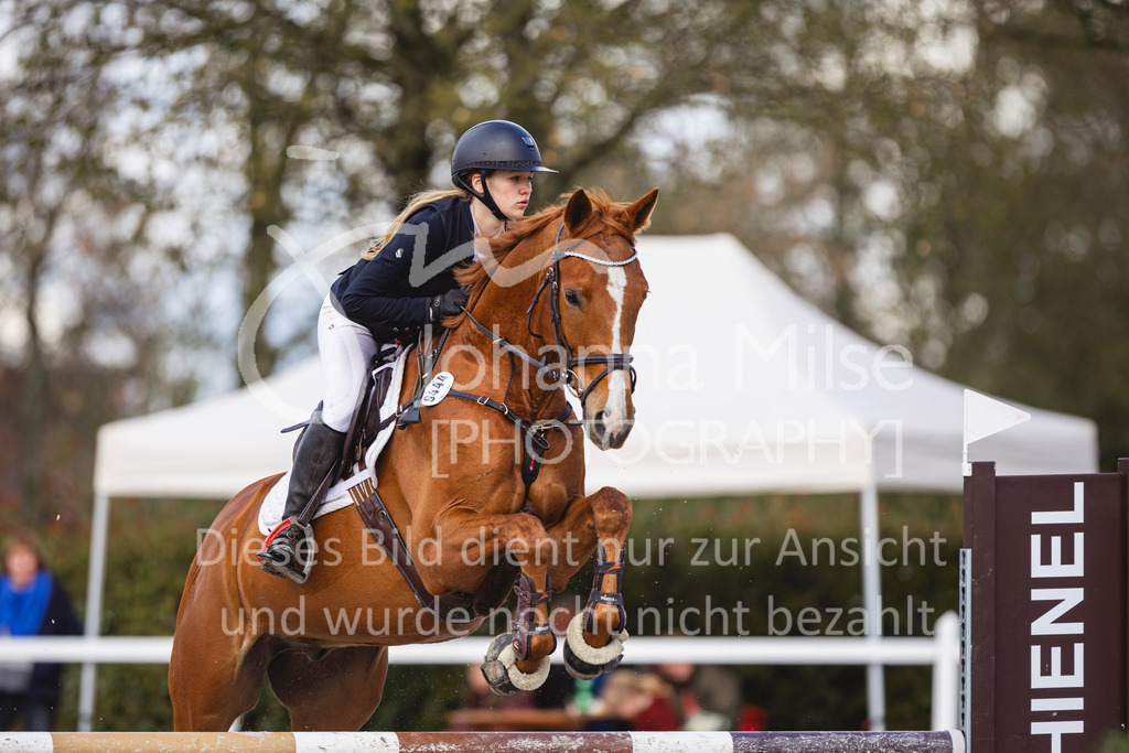 240424_Lemwerder_Stil-L-181 | Deine schönsten Turniermomente als professionelle Fotos! Entdecke hochwertige Pferdesport-Fotografie im Online-Shop. Jetzt Fotos finden & bestellen!