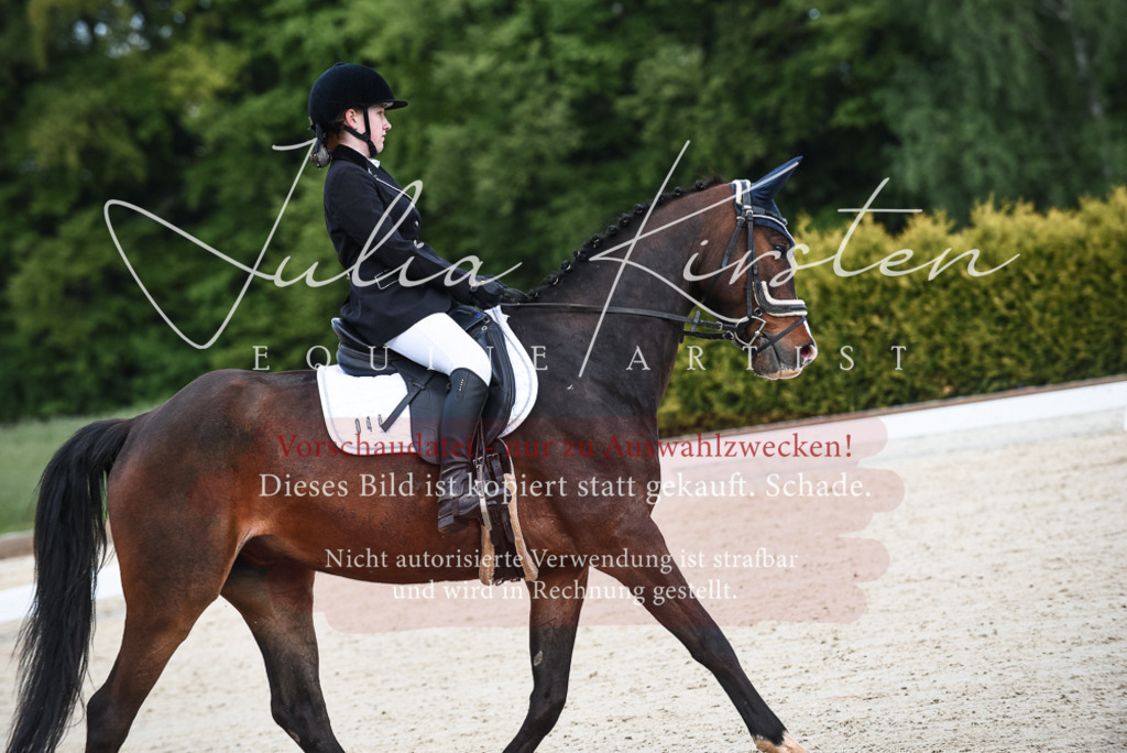 20230518_JK-Röhrsdorf-12-0067 | Pferde- und Turnierfotografie in Westsachsen. Pferdeportraits, Auftragszeichnungen und intuitive Kunst.