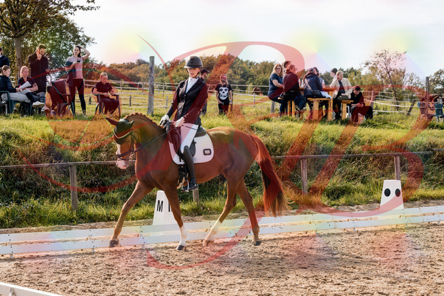 2026_10_03_Siefer-Hof_133000_Z63_91853409 | Professionelle Reitsport-, Turnier- und Eventfotografie von Robert Broda. Galerien mit ausgewählten und bearbeiteten Bildern direkt online ansehen und bestellen.