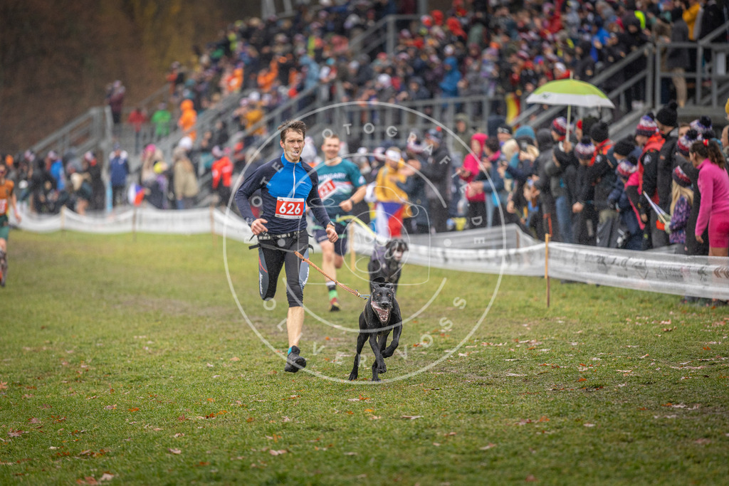 CaniXpix_DV3A9685 | Hundefotografie, Tierfotograf, Pfotenfotografie, Fotoshooting Hund, Hunde Portrait, Hundesport, Hundeportraits, Heideshooting, Hunde, Sportfotograf, Hundefotograf, Turnierhundsport, THS,  - Realisiert mit Pictrs.com