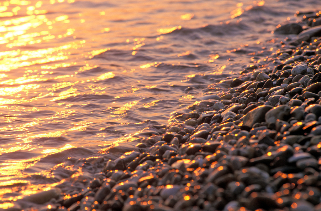 Goldene Wellen am Ufer Donau | Wien, Austria: Goldene Wellen am Ufer Donau. - Realisiert mit Pictrs.com