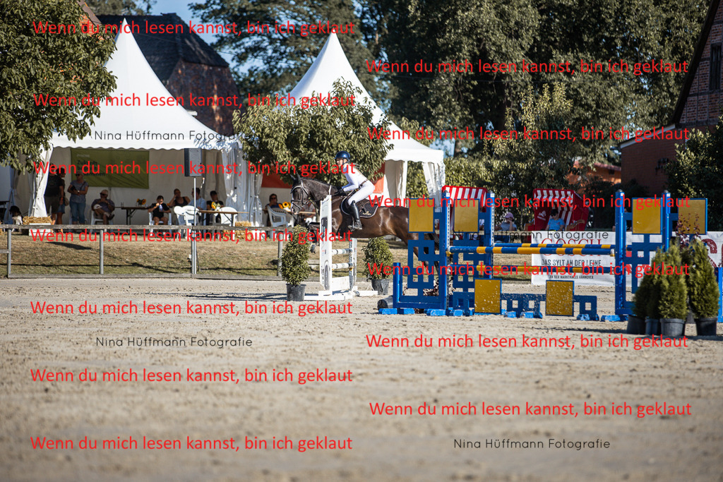 BK1A7580 | Turnierbilder Turnierfotos Nina Hüffmann Turnierfotografie Pferdefotografie Tierzeichnung Haustierzeichnung Pferdezeichnung Hundezeichnung Videograf  - Realisiert mit Pictrs.com