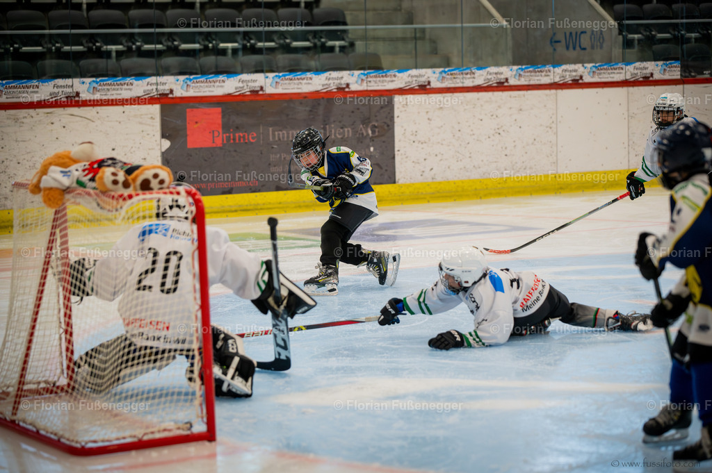 DSC_2119 | "Fussifoto.com – Ihr Ansprechpartner für hochwertige Fotografie! Entdecken Sie kreative Bilder und professionelle Dienstleistungen. Kontaktieren Sie uns für Ihre Projekte!"