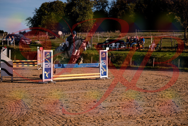 2026_10_03_Siefer-Hof_171433_Z81_11988337 | Professionelle Reitsport-, Turnier- und Eventfotografie von Robert Broda. Galerien mit ausgewählten und bearbeiteten Bildern direkt online ansehen und bestellen.