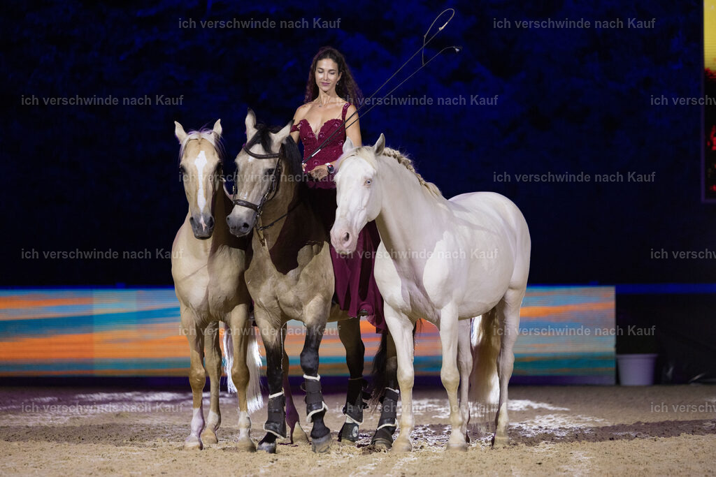 Gala-118 | working equitationturnier fotograf videograf stoibphotography marixx film working equitation deutschland reitsport turnierfotografie eventfotografie equestrian events