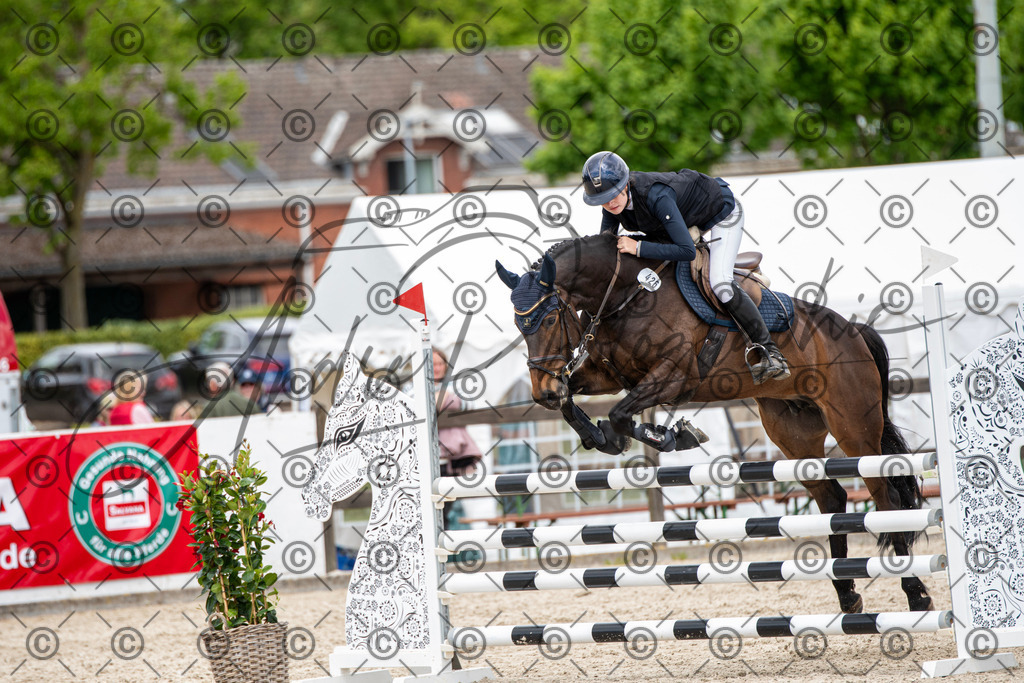 KPT_5750 | andre_photographic