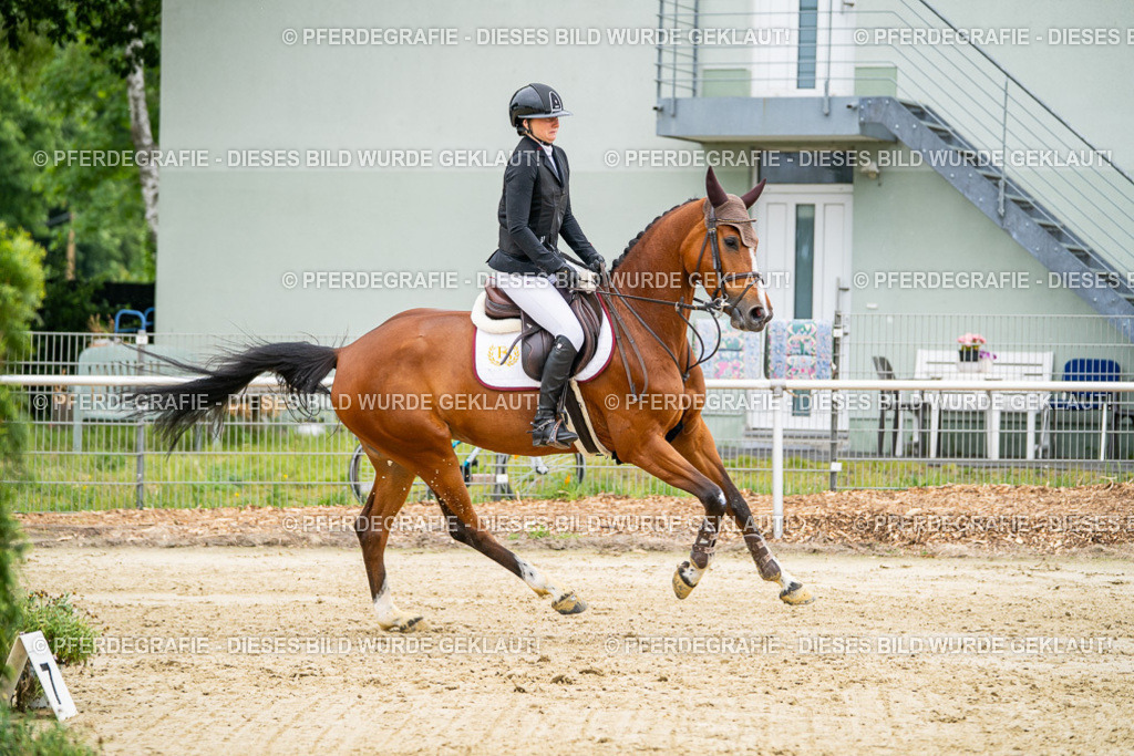 DSC02690 | Pferdegrafie