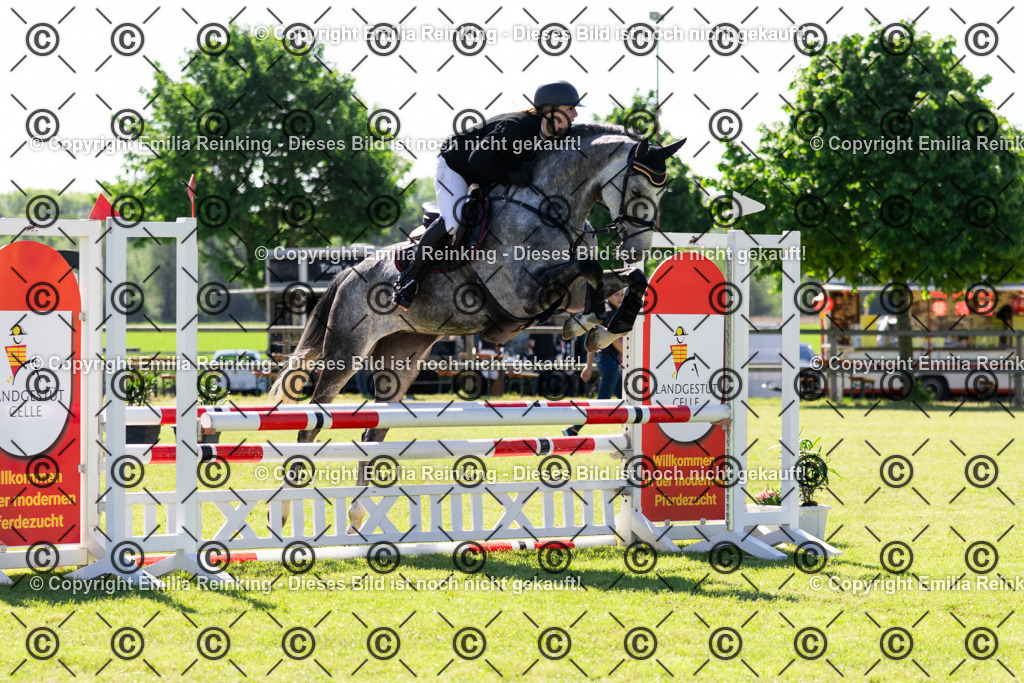 CL5A8195 | Emilia Reinking Fotografie - Realisiert mit Pictrs.com